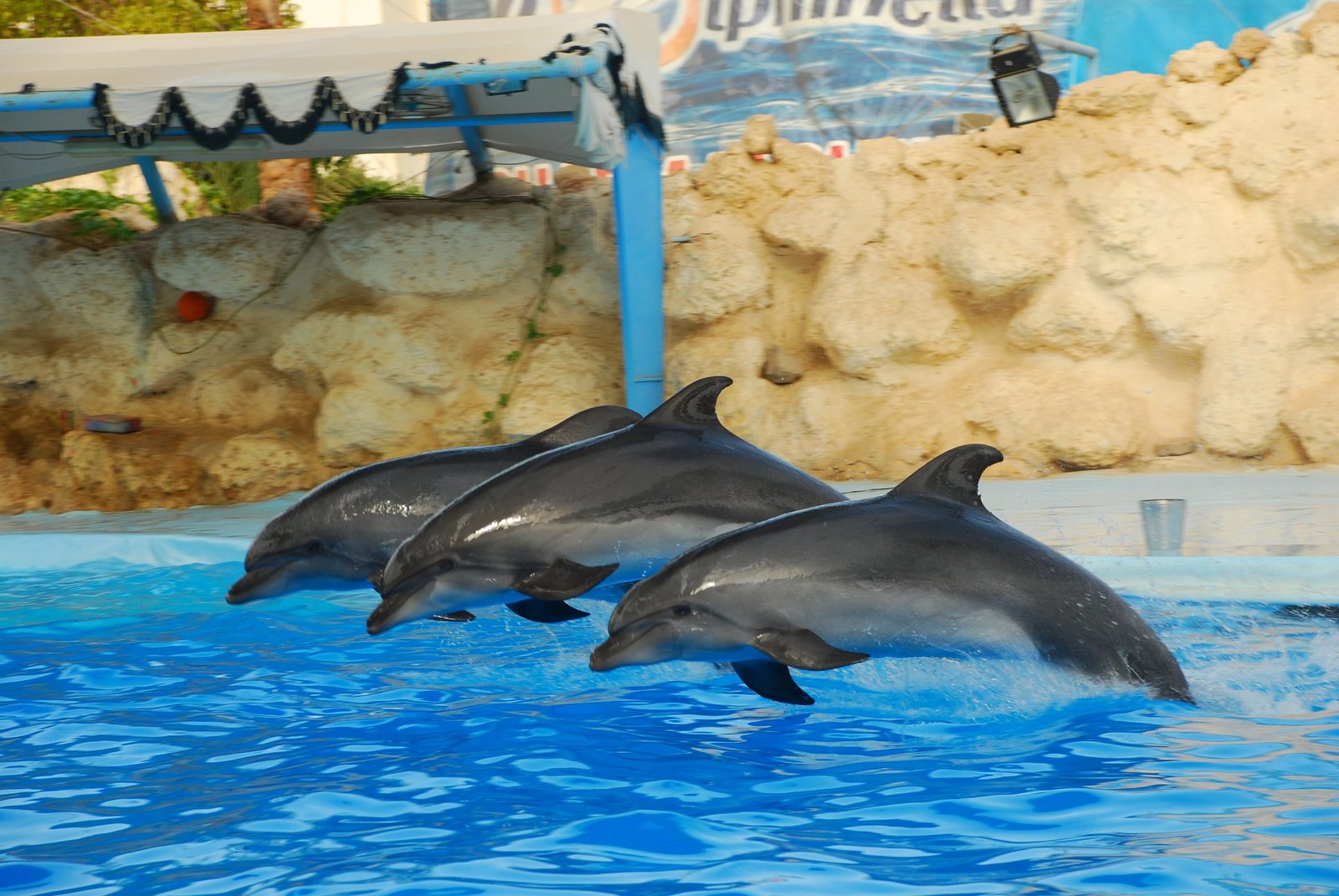 69640101_2359267637526509_1665583592924774400_o