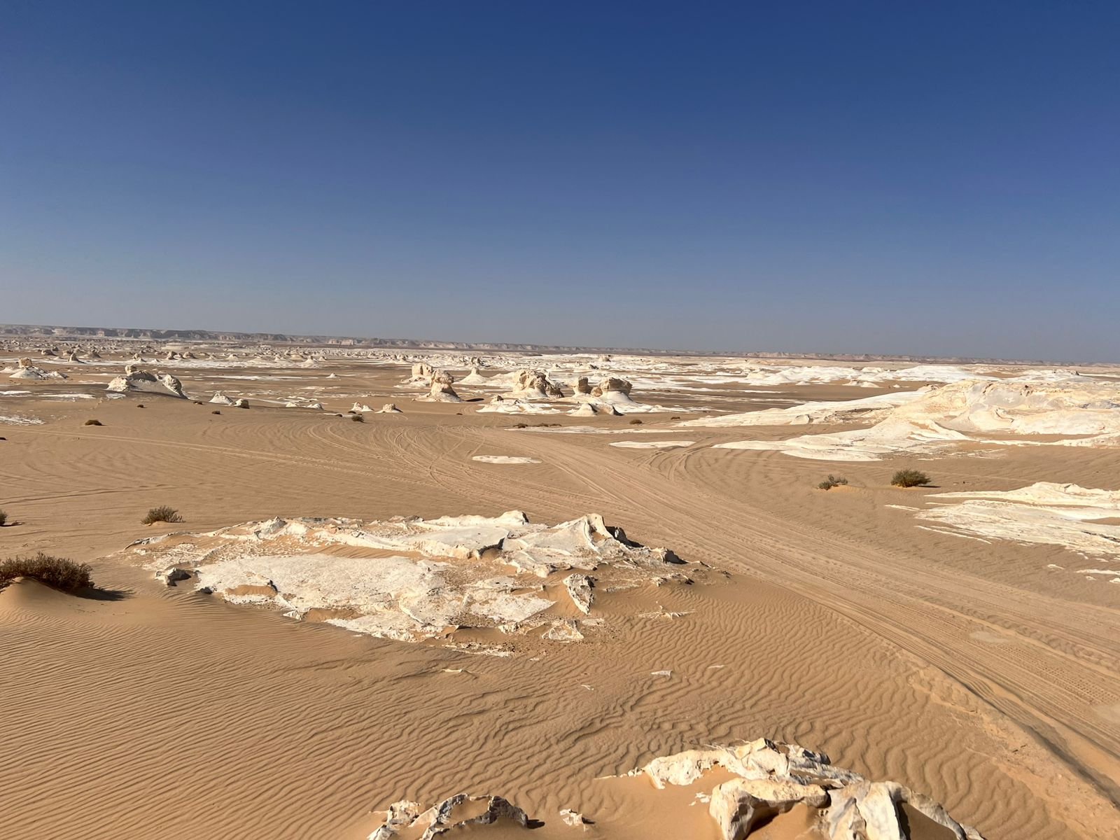 WhatsApp Image 2025-12-15 at 7.57.25 PM